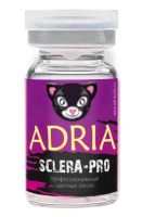 sclera