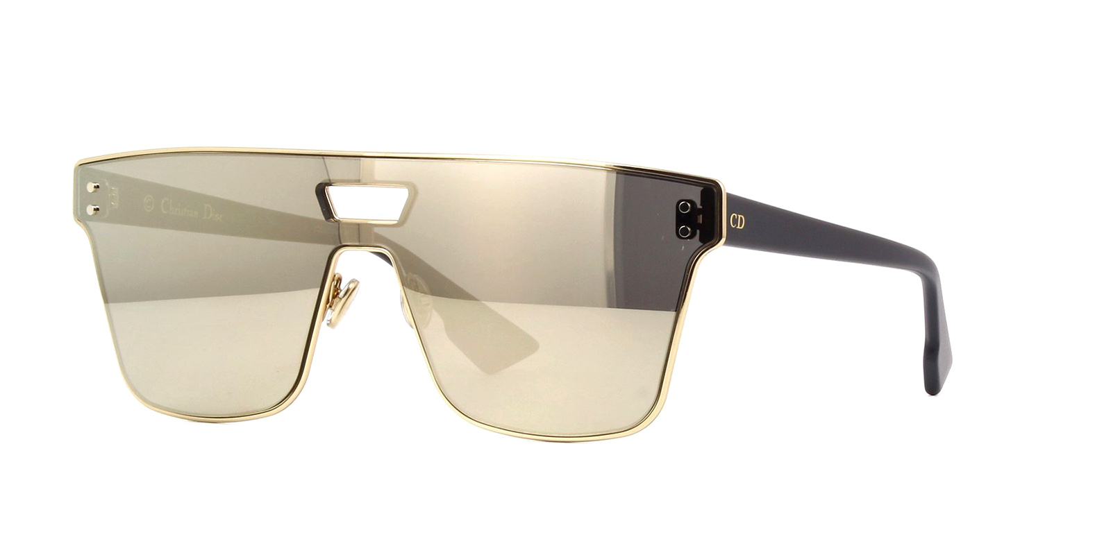 diorizon 1 sunglasses