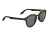 FLAMINGO F2024 C01 50 Солнцезащитные очки