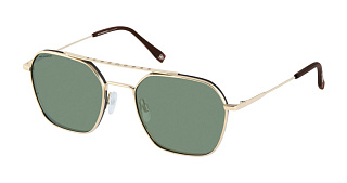 ROY ROBSON 70106SG 002 55 Солнцезащитные очки