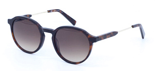 AVO Arturo SG 02 50 Солнцезащитные очки