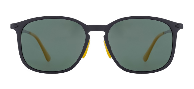 FLAMINGO F3006 C02 56 Солнцезащитные очки