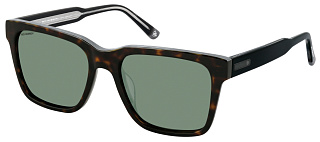 ROY ROBSON 70121SG 002 54 Солнцезащитные очки