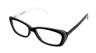 BANISS BS859F C01 51 Оправа