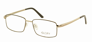 GLORY 592 Brown 54 Оправа