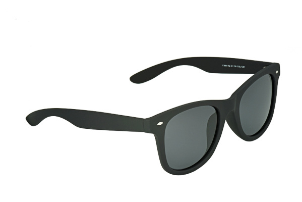 FLAMINGO F3004 C01 52 Солнцезащитные очки
