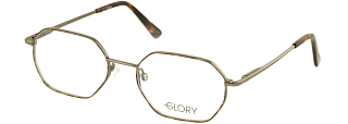 GLORY 253 Gun 53 Оправа